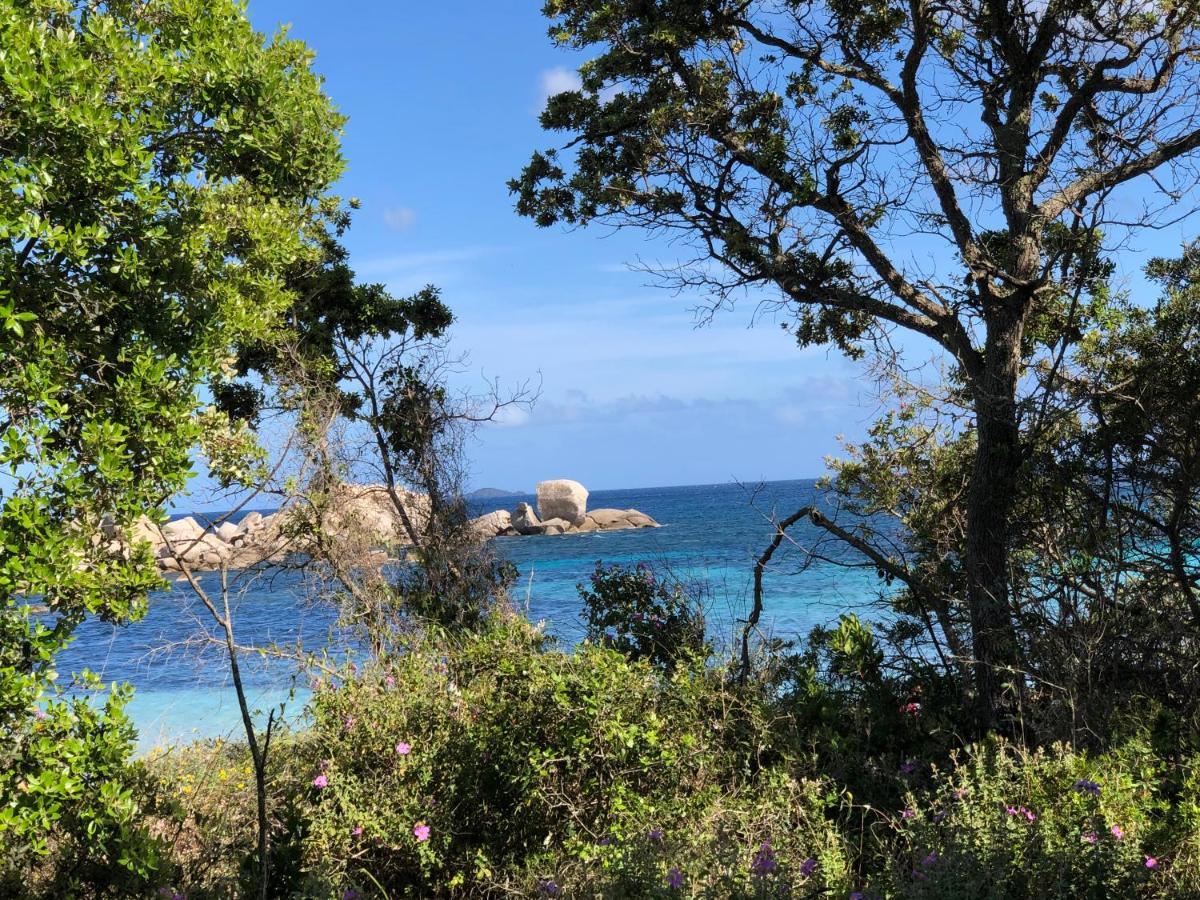 Palombaggia Villa Porto-Vecchio  Eksteriør billede