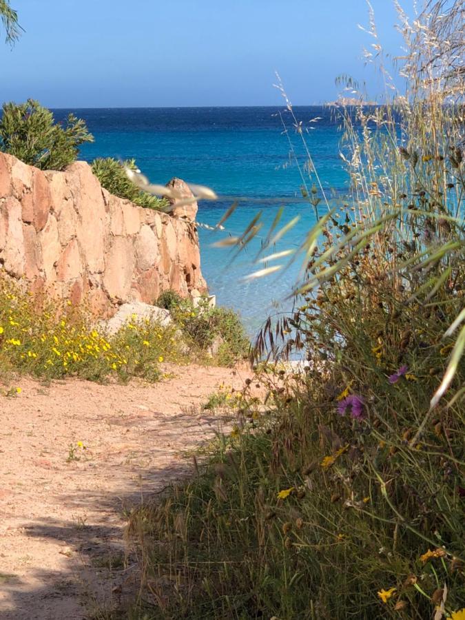 Palombaggia Villa Porto-Vecchio  Eksteriør billede